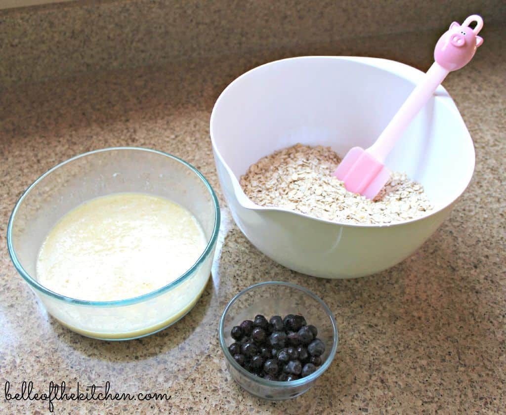 a bowl of oats, milk, and blueberries