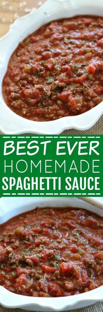 This Homemade Spaghetti Sauce is so easy and delicious, you will never buy the jarred kind again! Try it and you will see why I call it the Best Ever!