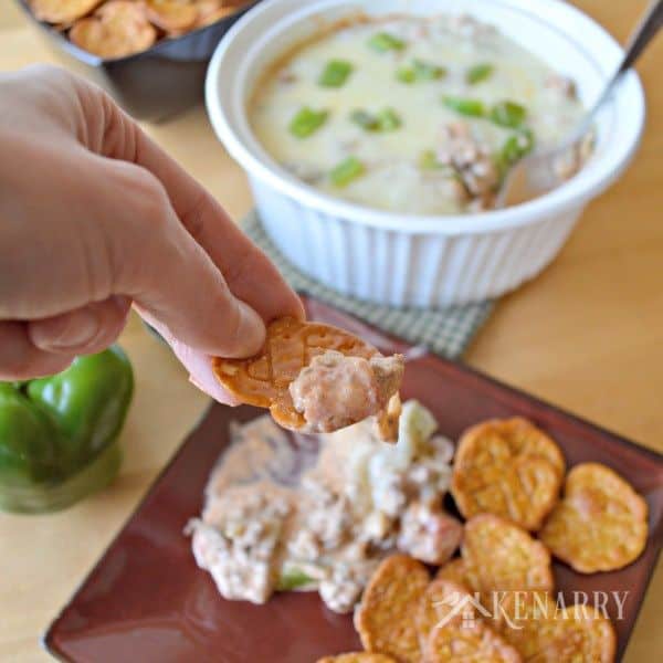 a person holding a chip filled with cheese dip