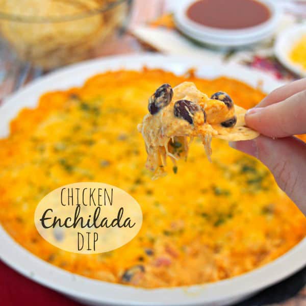 Chicken Enchilada Dip
