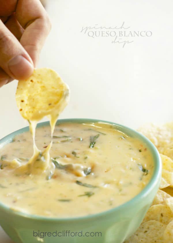 The Best Queso Blanco Dip