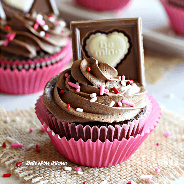 Buttermilk Chocolate Cupcakes with Whipped Ganache Frosting