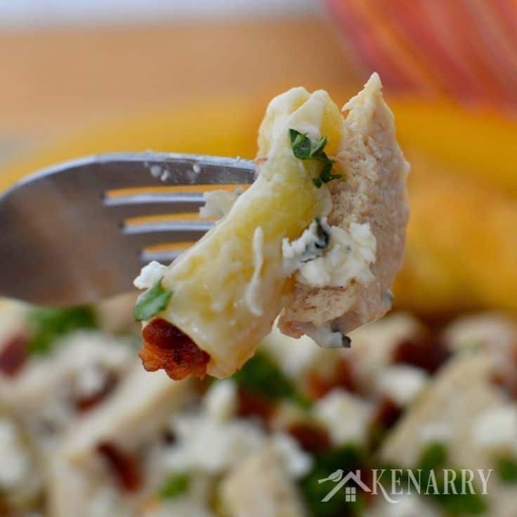 a fork full of pasta and chicken