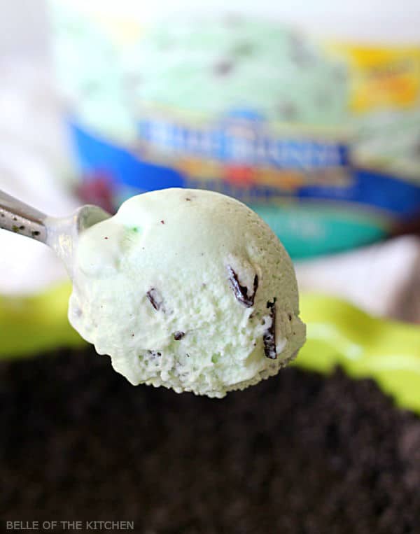 A close up of a scoop of mint ice cream