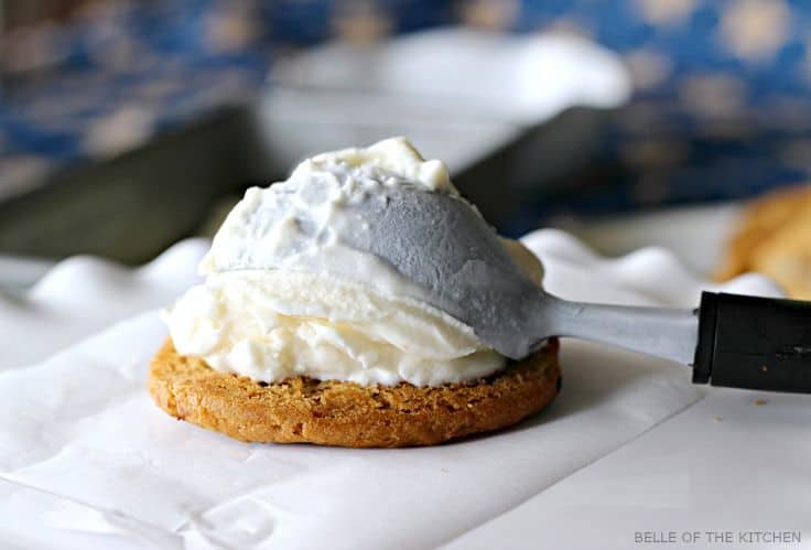 a cookie topped with vanilla ice cream