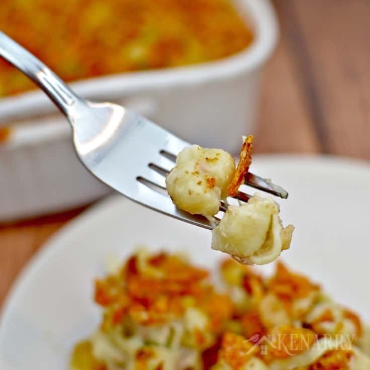 A plate of tuna casserole