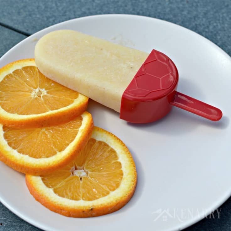 a Popsicle on a plate with sliced oranges