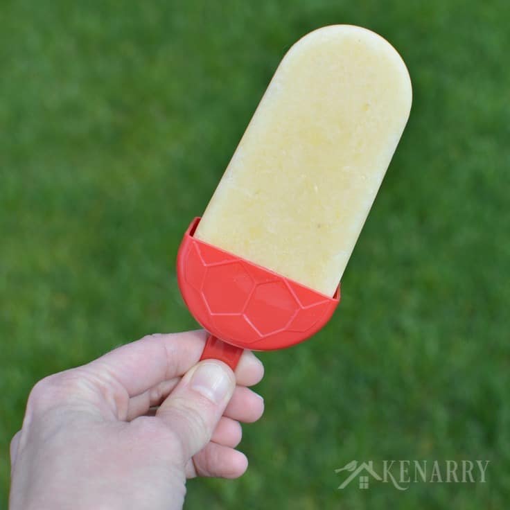 a hand holding a popsicle