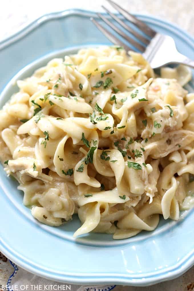 A pasta dish with Chicken and Noodles on a plate