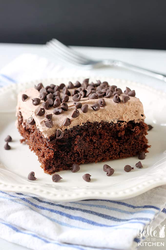 A piece of chocolate cake on a plate