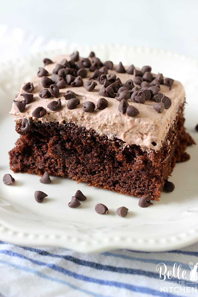 Skinny Chocolate Cake Recipe - Belle of the Kitchen