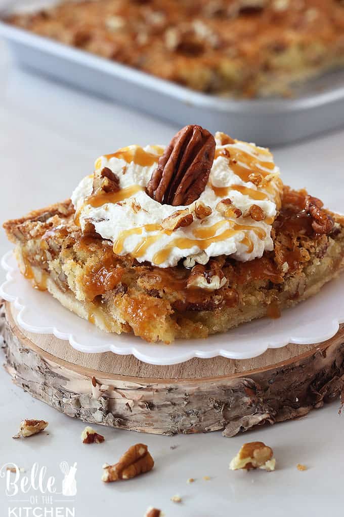 A slice of pecan pie with whipped cream and a pecan on top