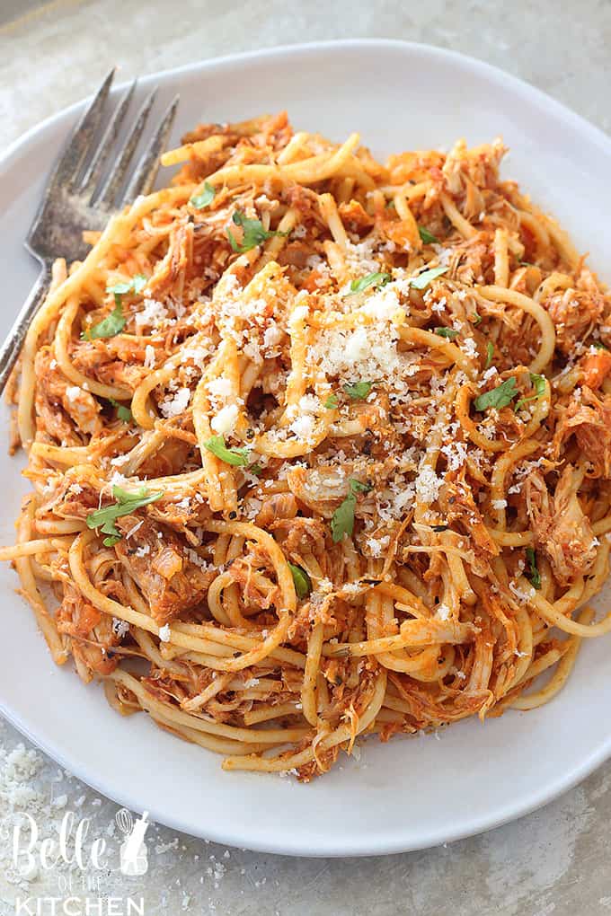 A close up of a plate of food, with Noodles and cheese and a fork