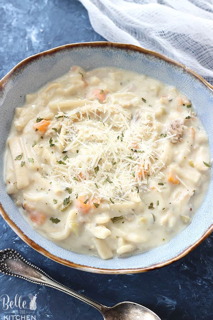 A bowl of soup, with Chicken and noodles