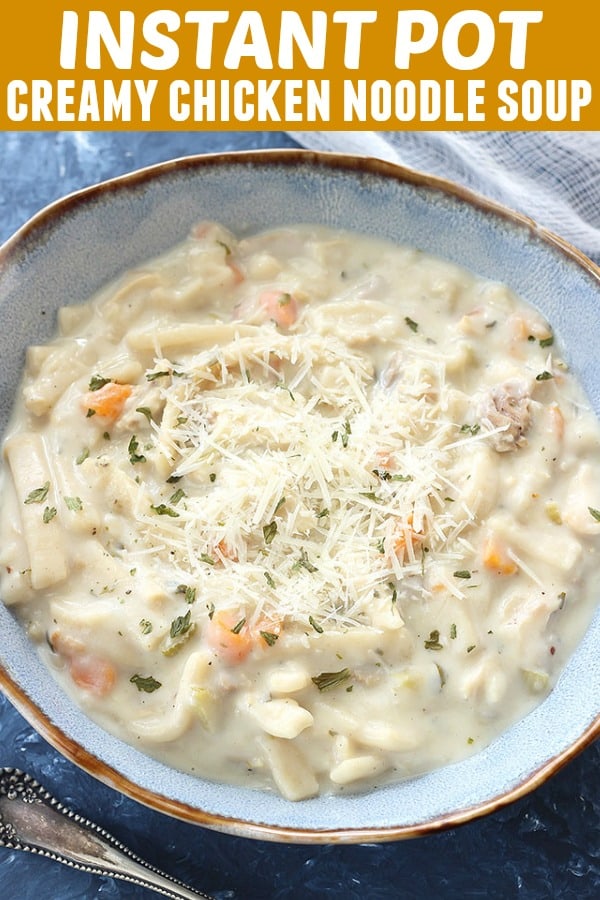 A bowl of soup, with Chicken and noodles