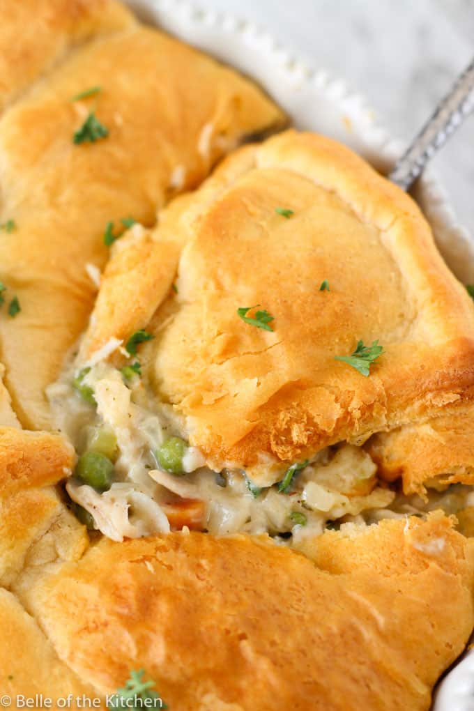 A close up of food, with Chicken and Pie