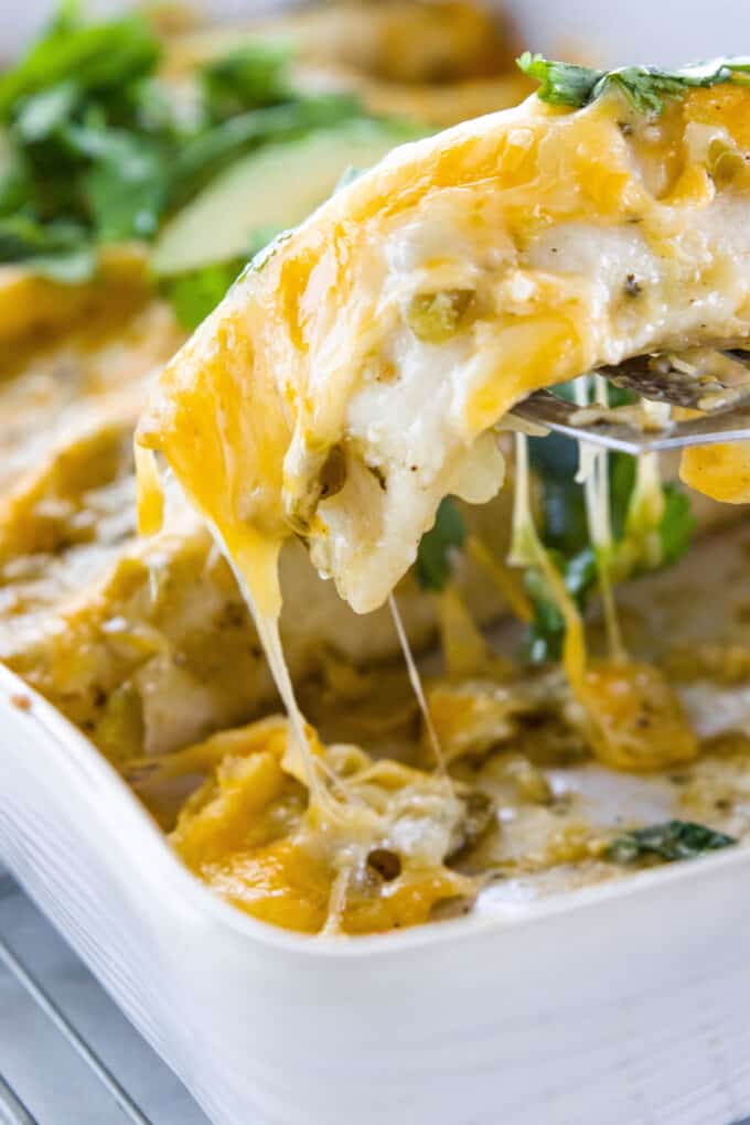 chicken enchiladas dripping with cheese being lifted from a dish