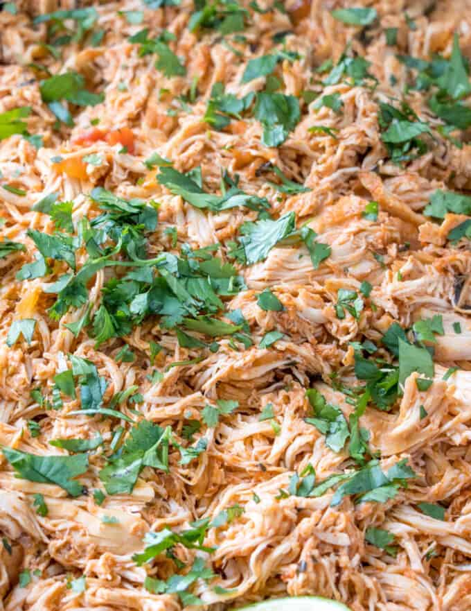 shredded chicken covered with cilantro