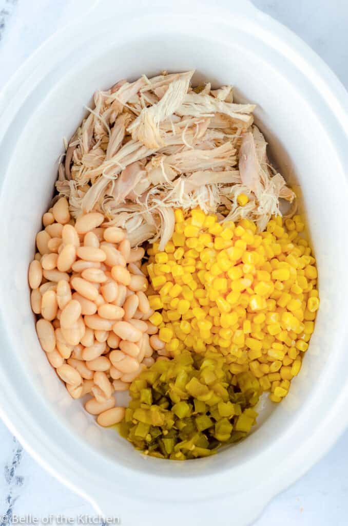 white bowl filled with chicken, beans, corn, and green chiles