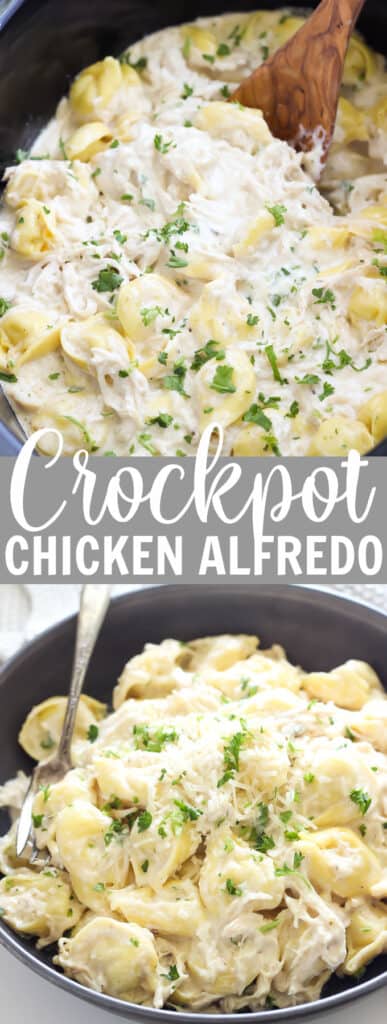 tortellini with chicken and Alfredo sauce in a crockpot