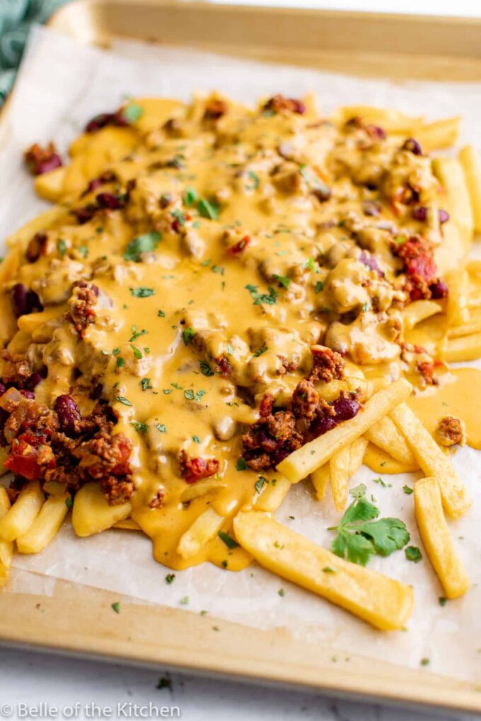 Chili Cheese Fries Recipe Belle of the Kitchen