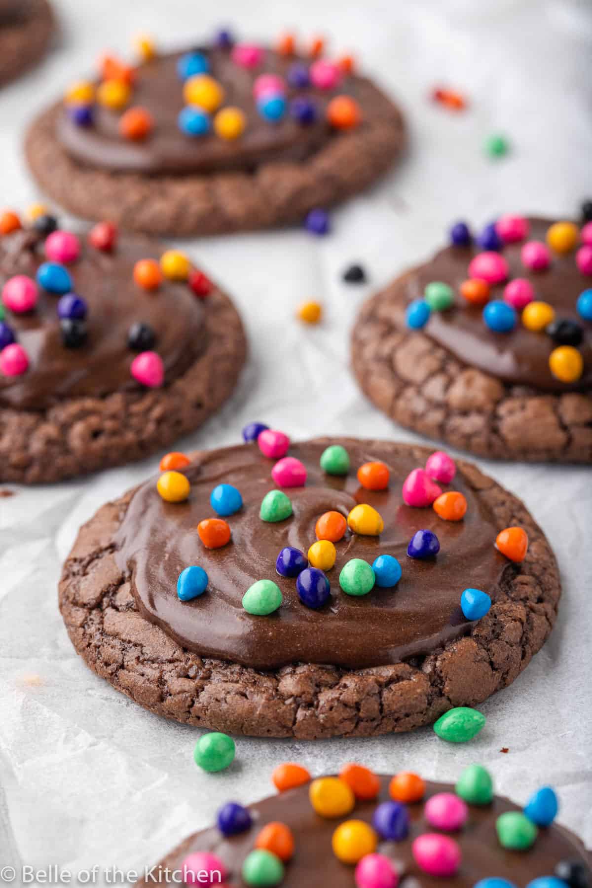 a chocolate cookie with icing and rainbow sprinkles