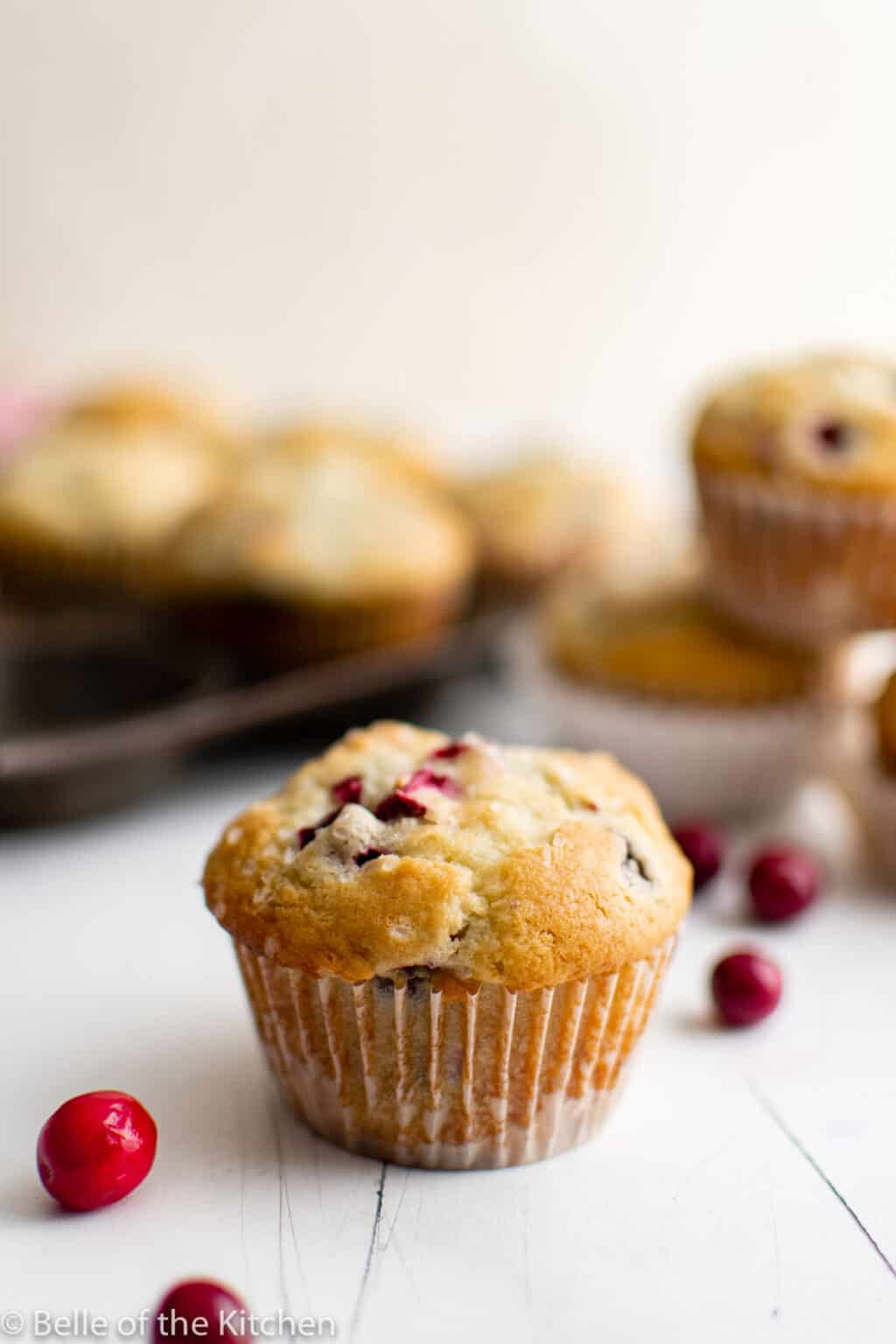Cranberry Muffins Recipe - Belle of the Kitchen