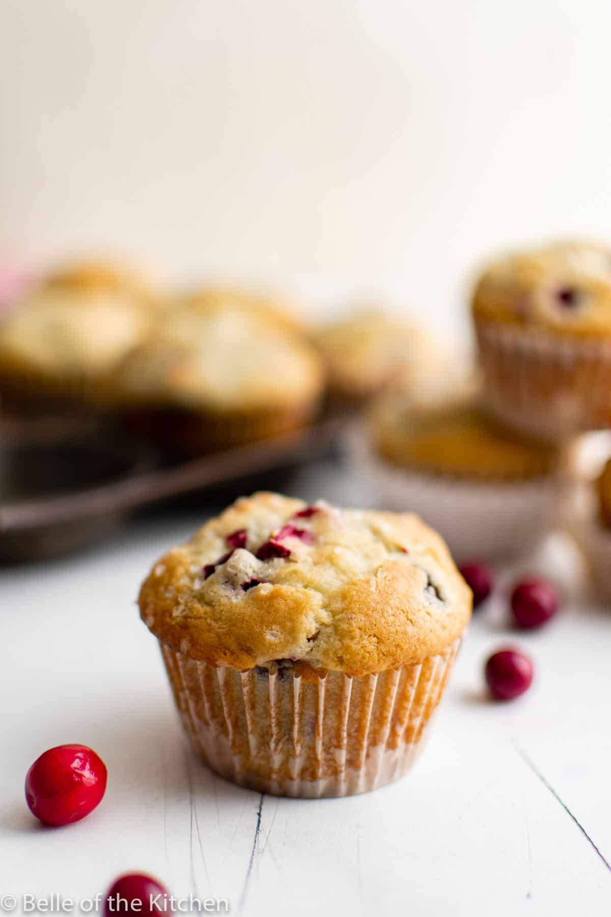 a muffin surrounded by cranberries