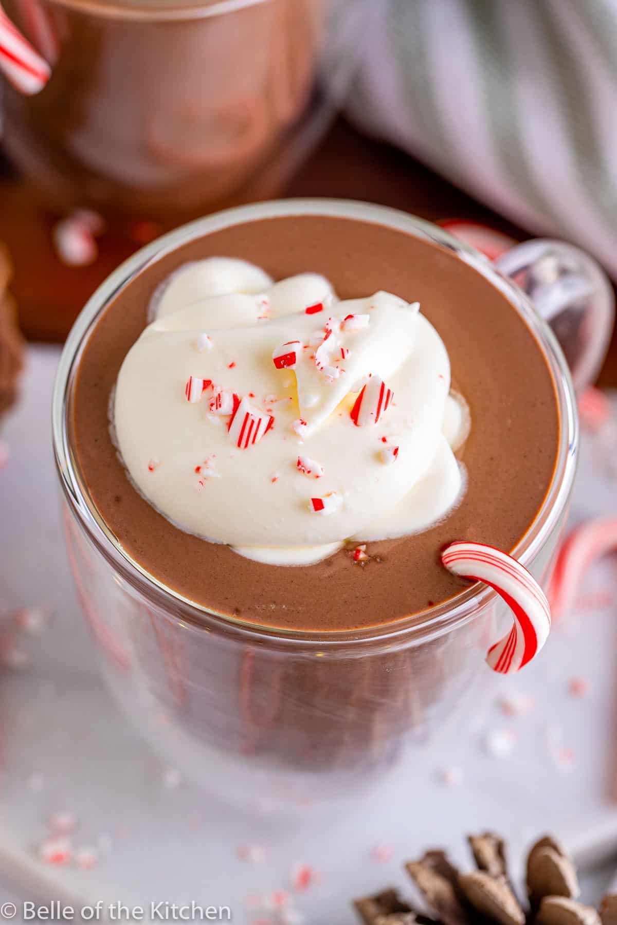 hot chocolate in a mug with whipped cream and a candy cane