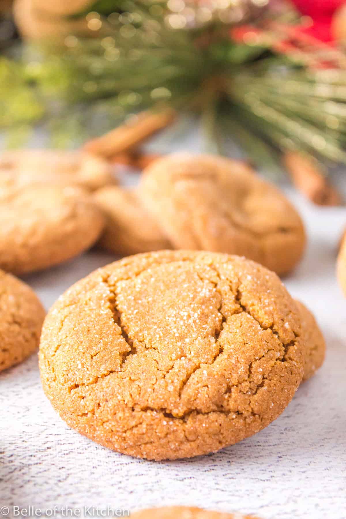soft molasses cookies with pine in the background