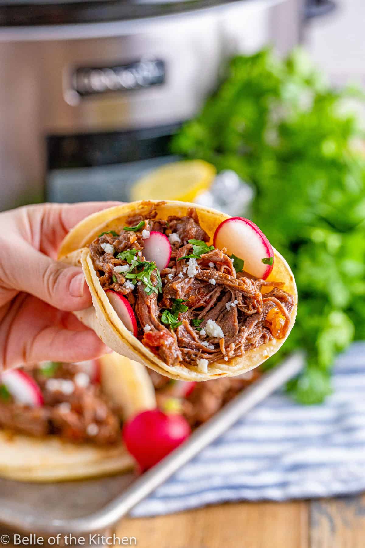 a hand holding a tortilla filled with meat