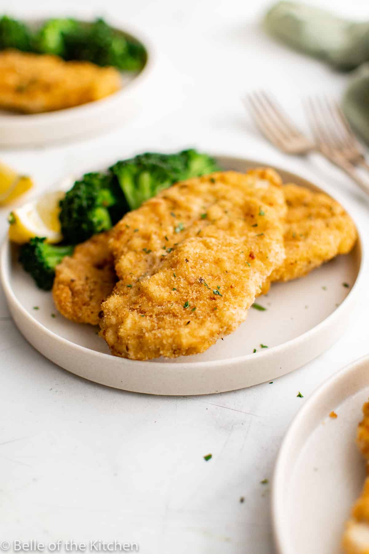 breaded chicken on a plate