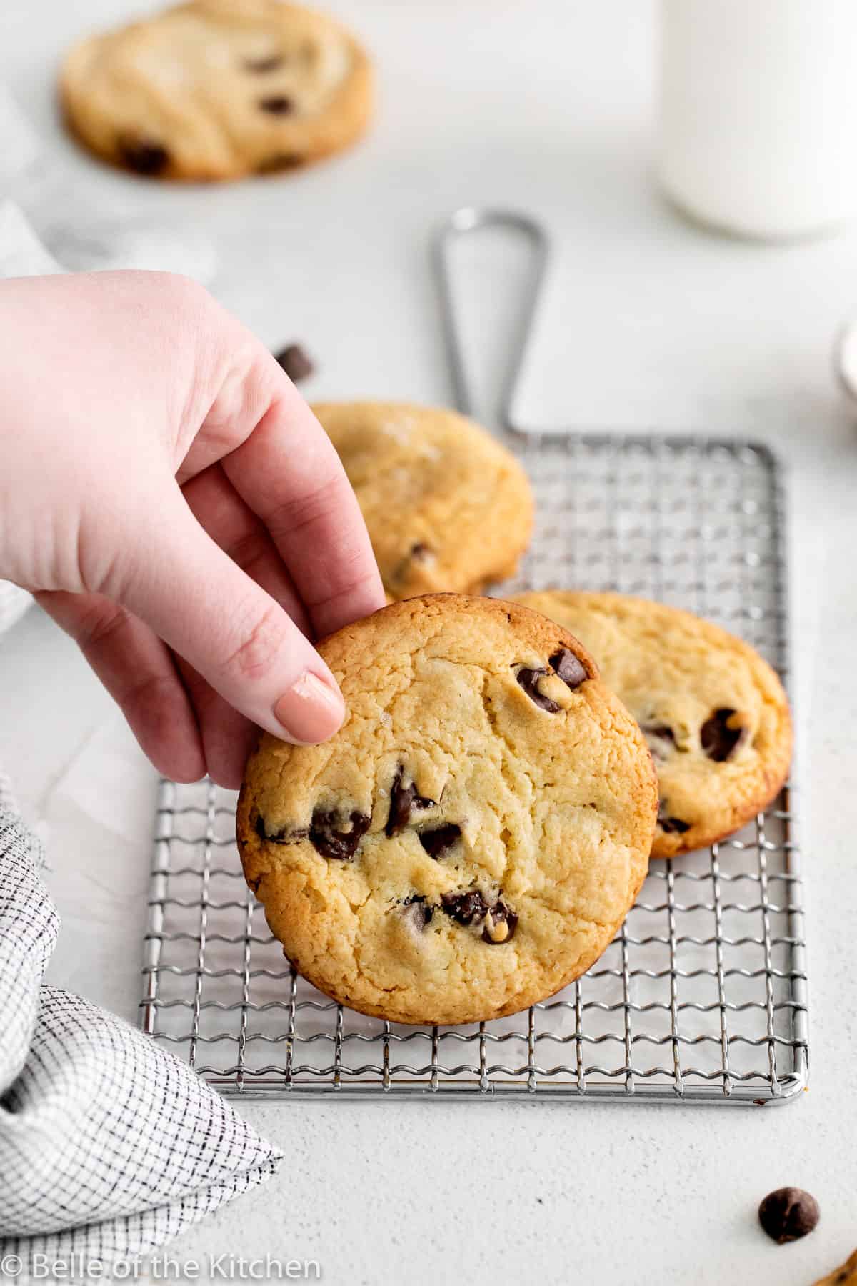 a hand holding a chocolate chip cookie