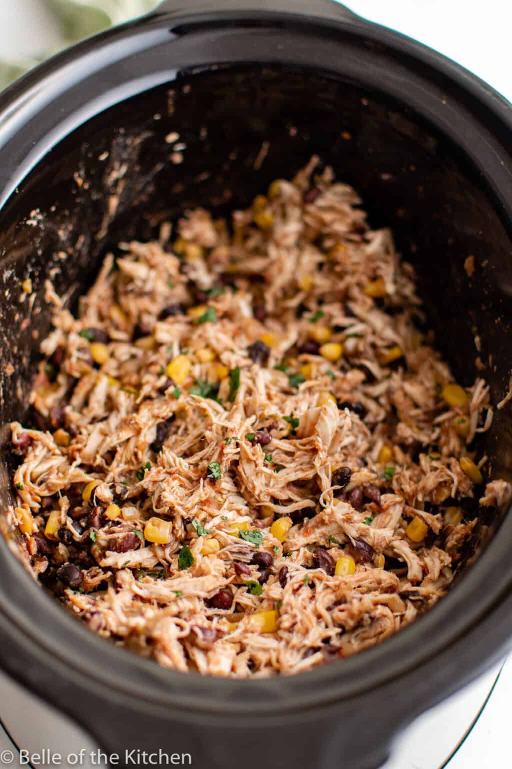 Crockpot Salsa Chicken Belle of the Kitchen