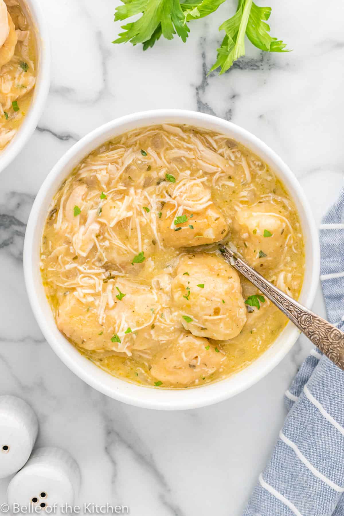 A bowl of chicken and dumplings.