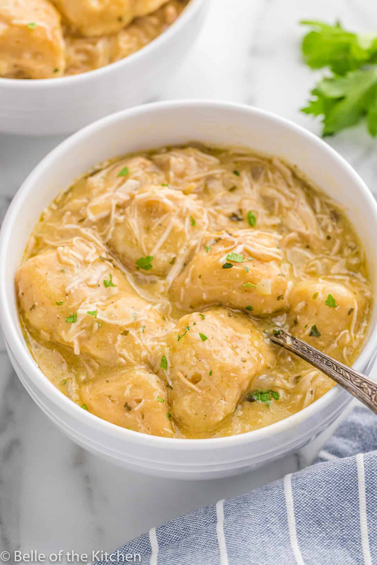 A bowl of chicken and dumplings.