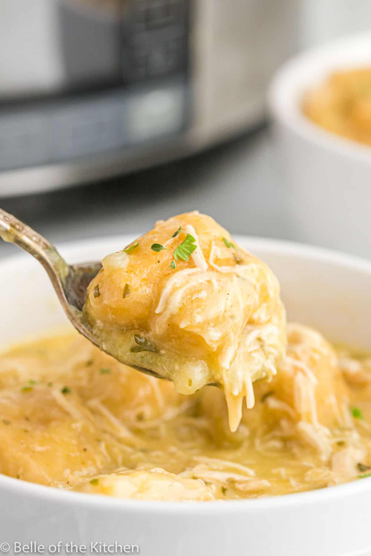 a spoon holding chicken and dumplings out of a bowl.