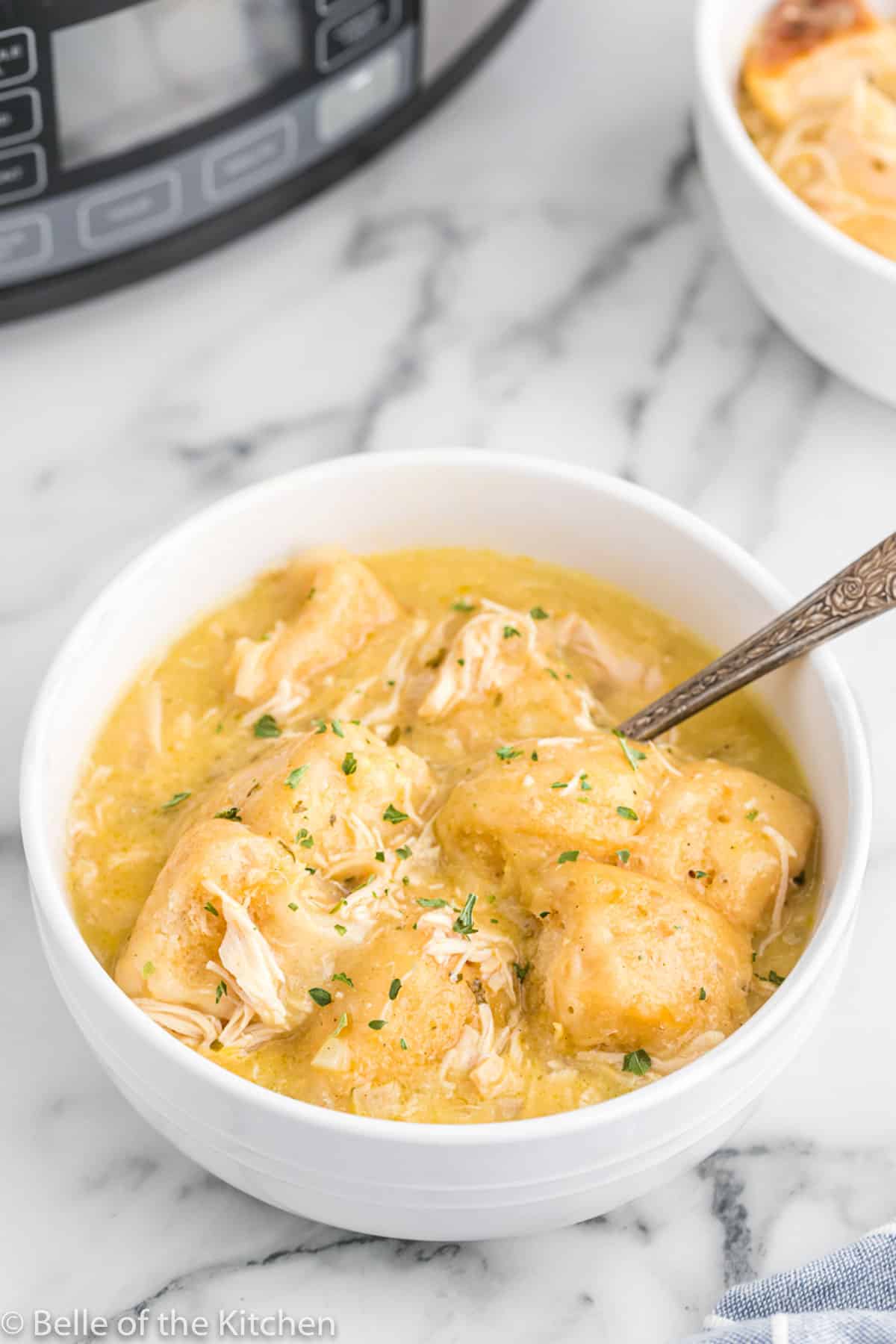 A bowl of chicken and dumplings.