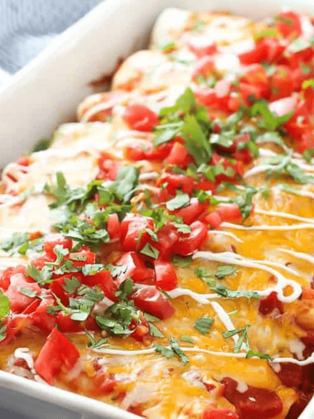 Easy Beef Enchiladas Recipe Story Belle of the Kitchen
