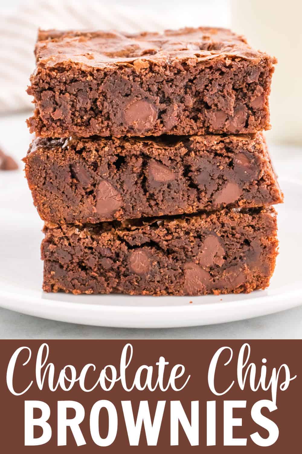 Chocolate Chip Brownies Belle of the Kitchen