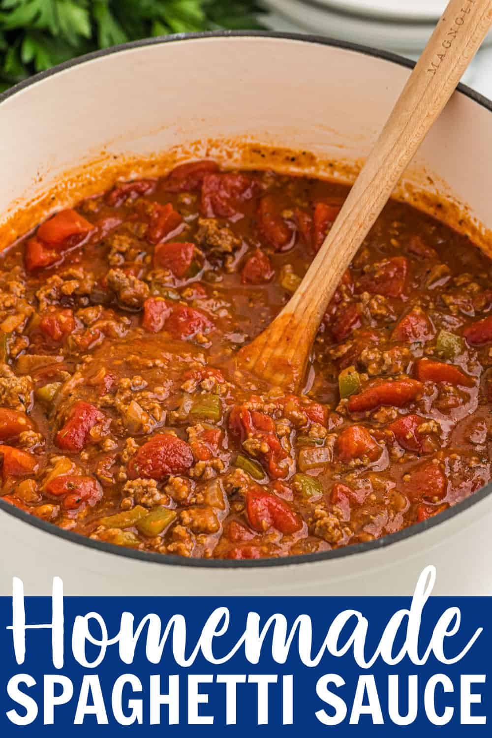 The Best Homemade Spaghetti Sauce Belle of the Kitchen