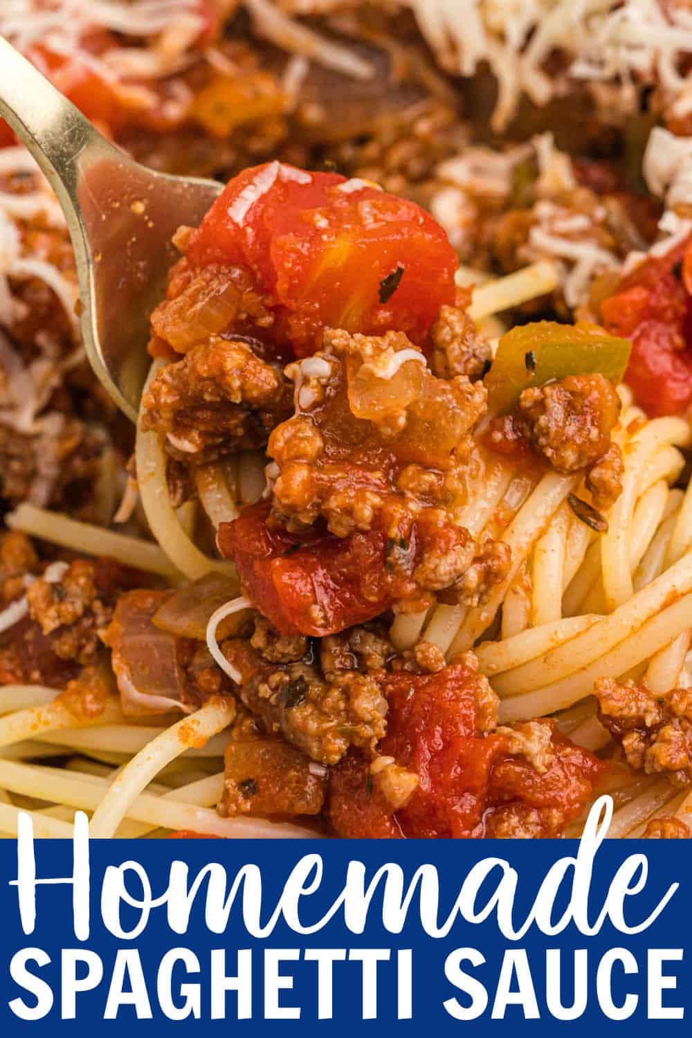 The Best Homemade Spaghetti Sauce Belle of the Kitchen