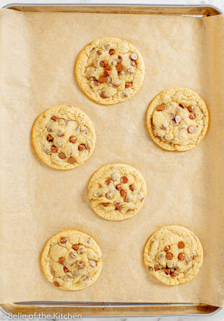 Small Batch Chocolate Chip Cookies Belle of the Kitchen