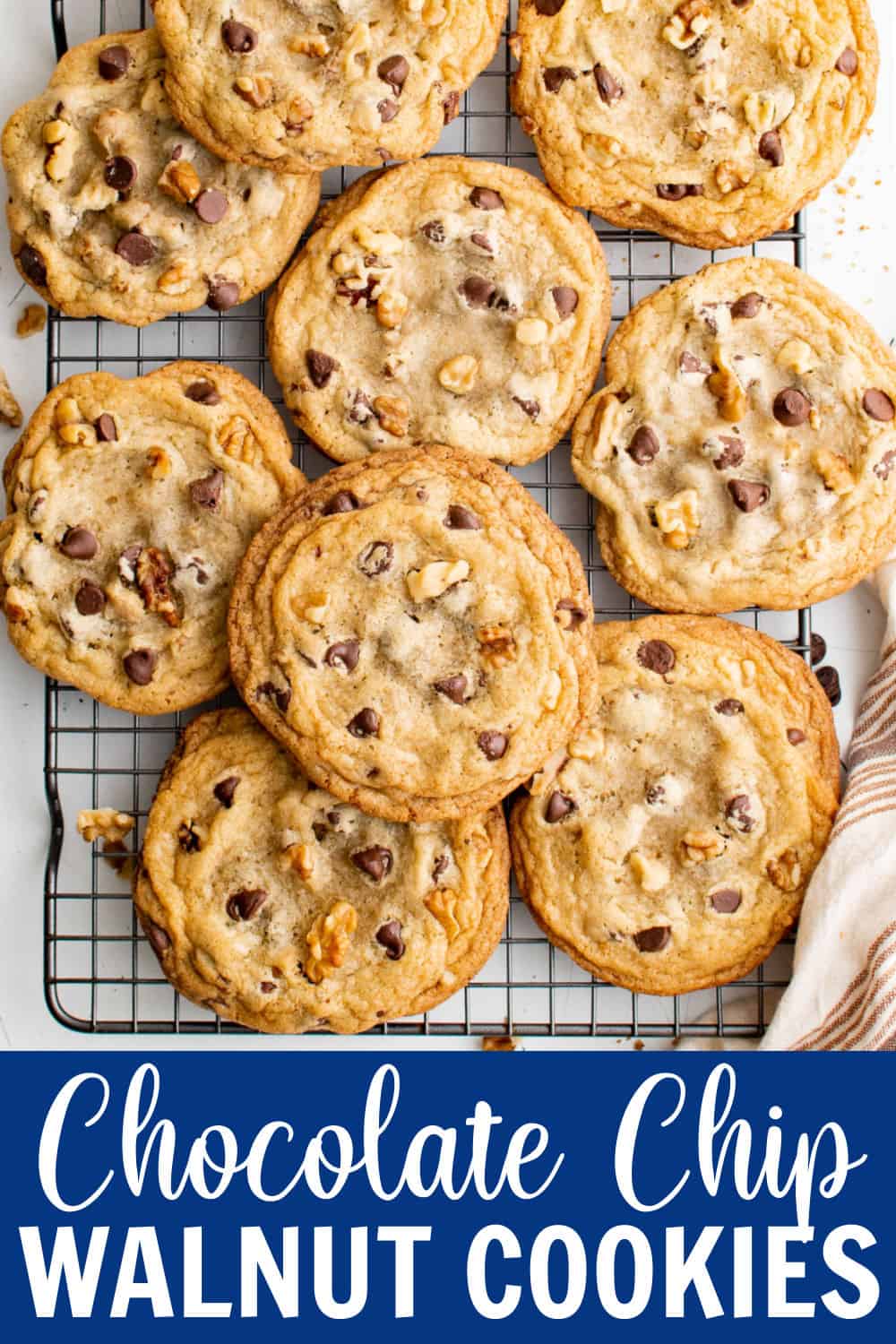 Chocolate Chip Walnut Cookies Belle of the Kitchen