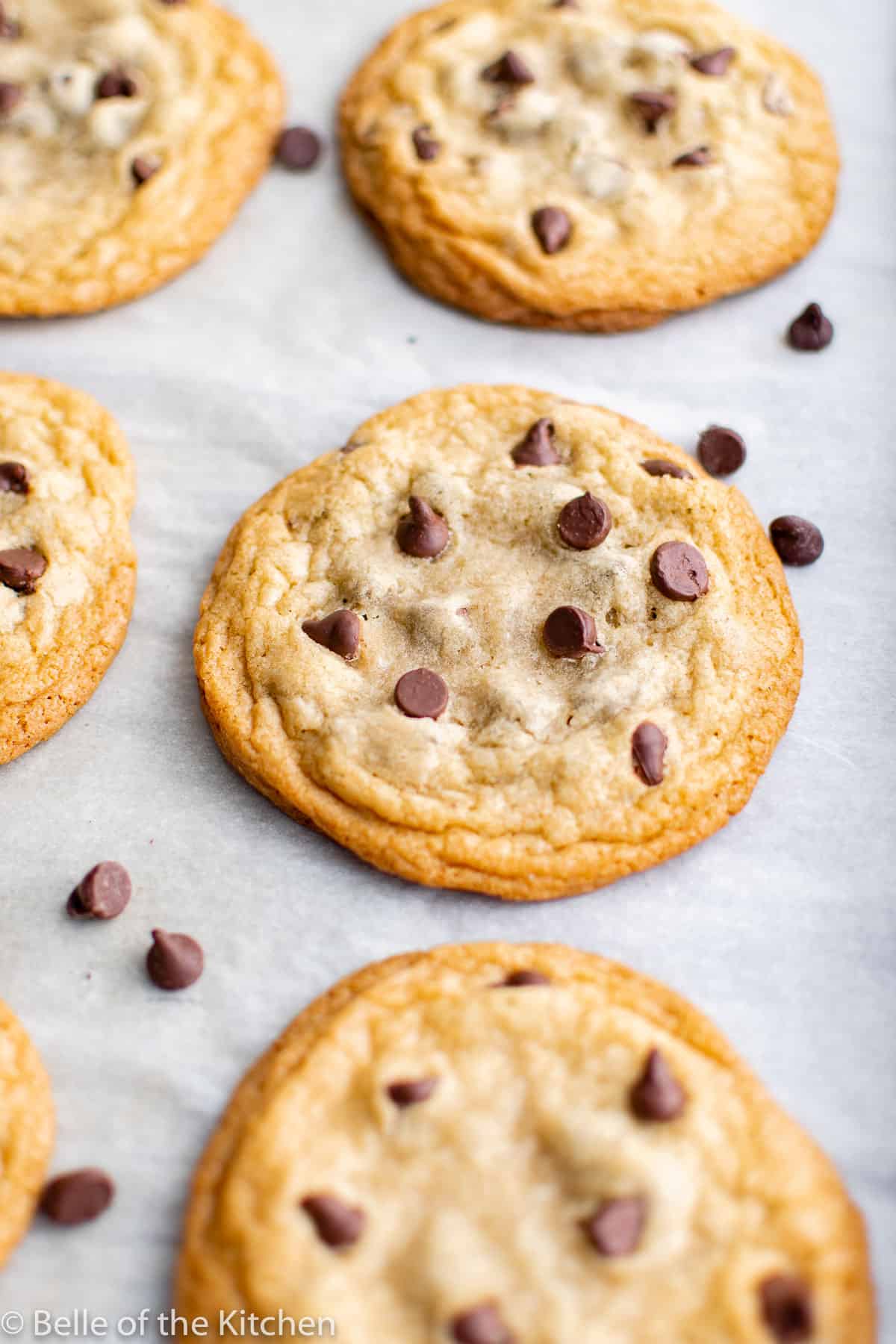an up close shot of a chocolate chip cookie.