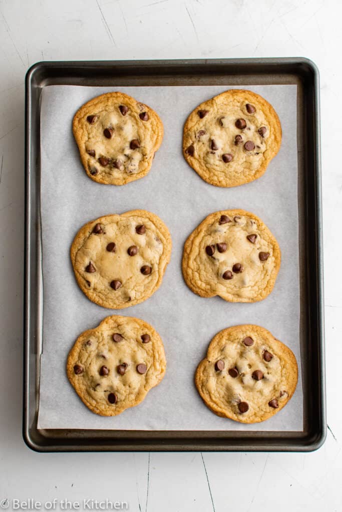 The Best Chewy Chocolate Chip Cookies Recipe - Belle of the Kitchen