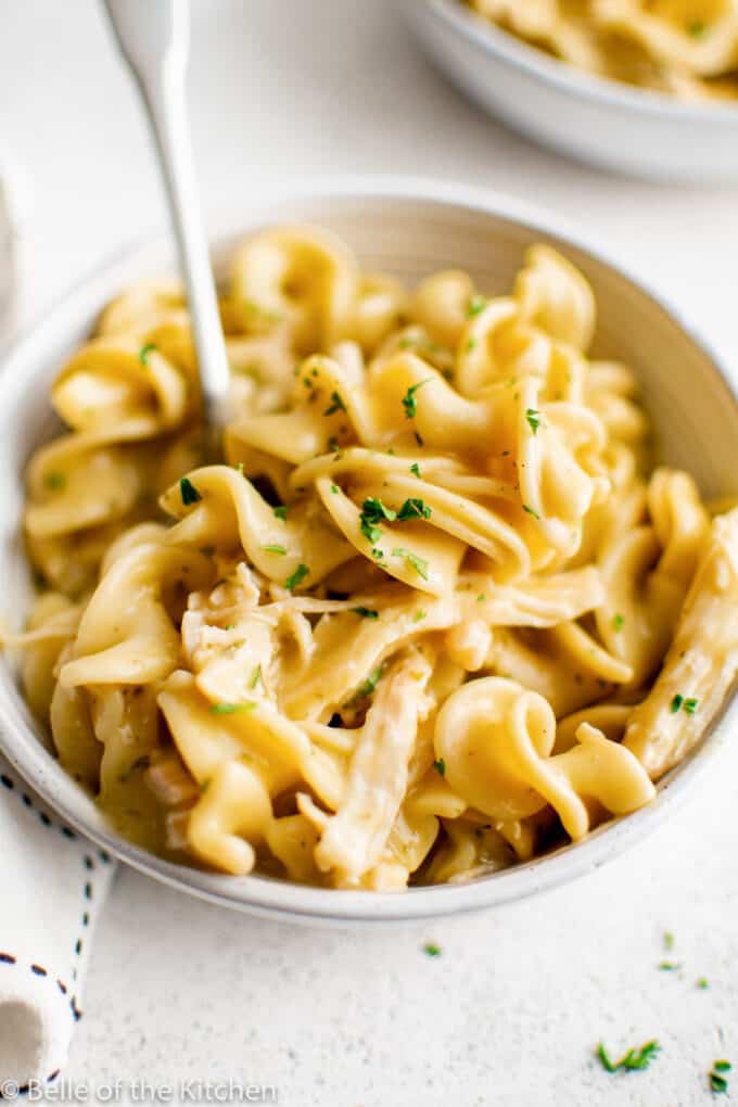 Instant Pot Chicken and Noodles - Belle of the Kitchen