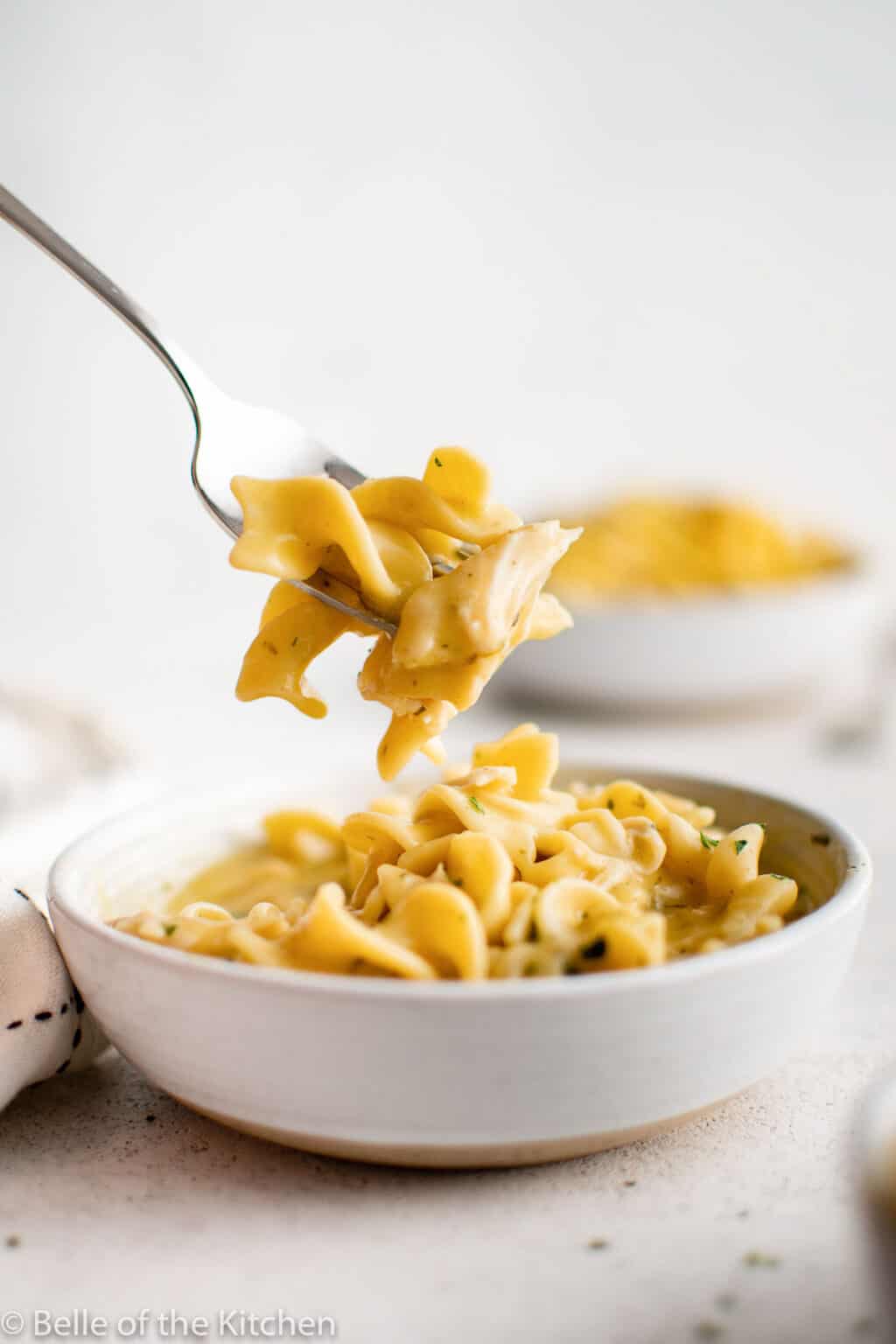 Instant Pot Chicken and Noodles - Belle of the Kitchen