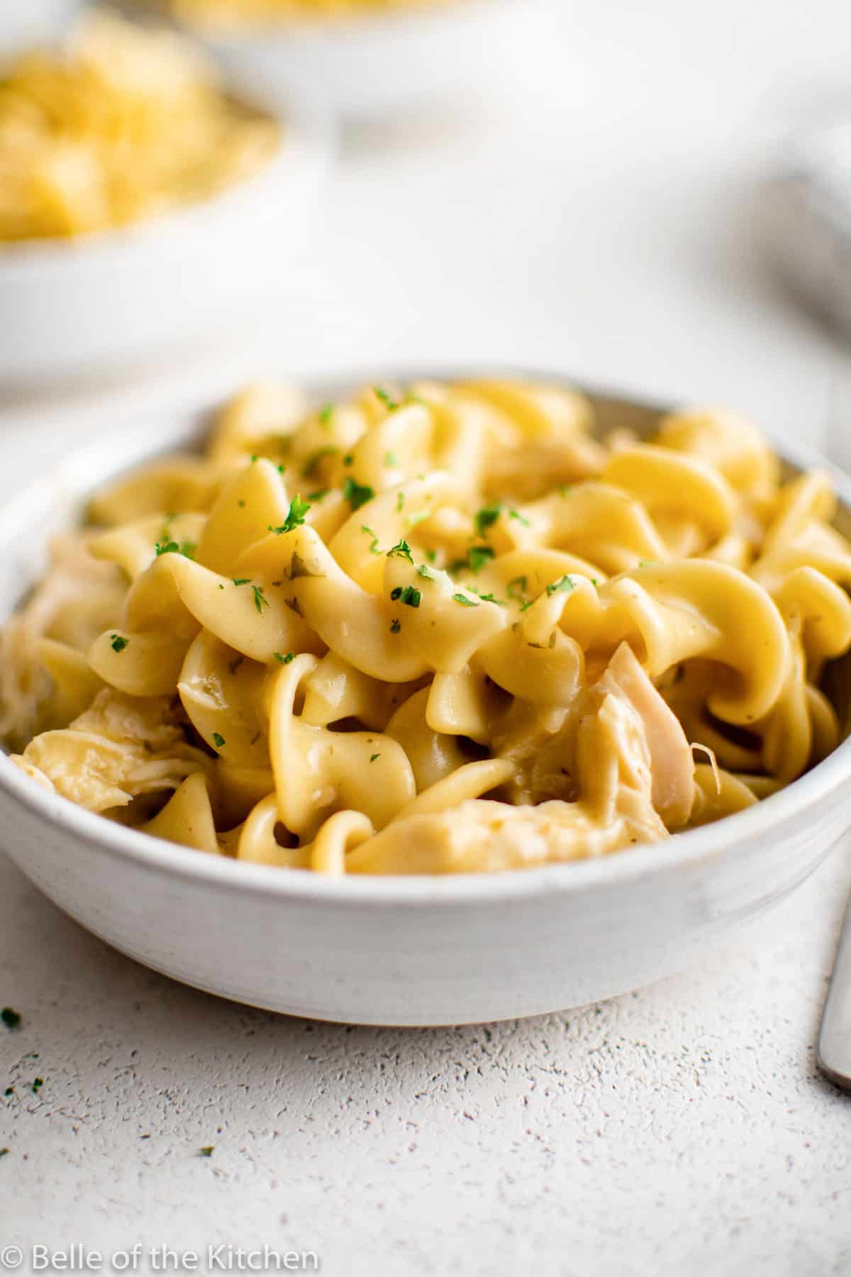 a white bowl of chicken and noodles.