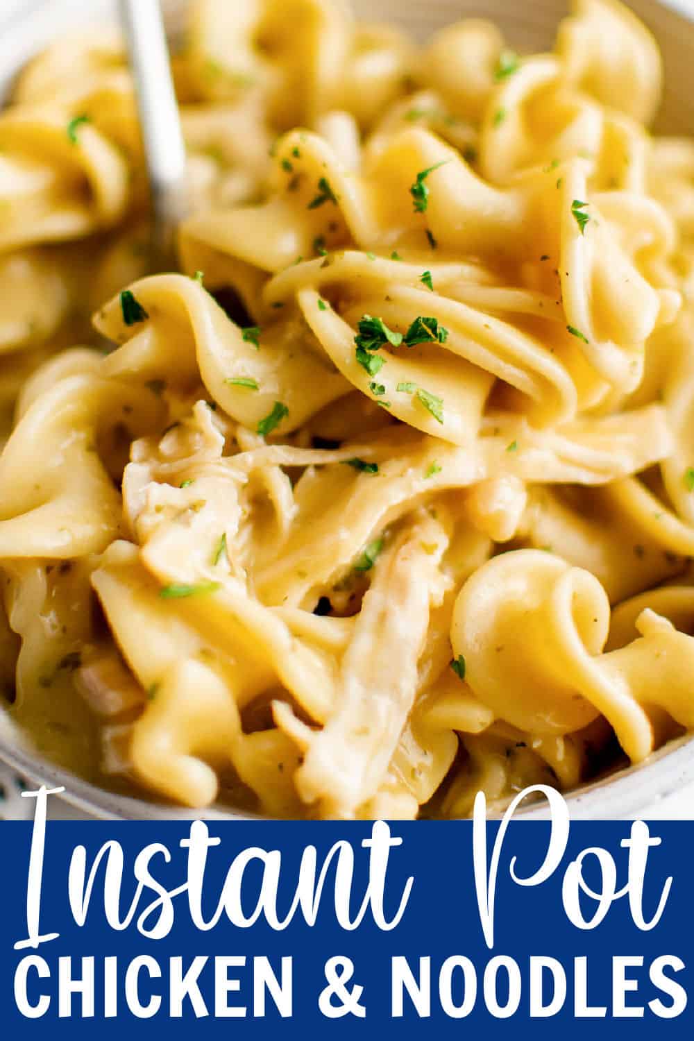 Instant Pot Chicken and Noodles Belle of the Kitchen